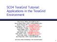 SC04 TeraGrid Tutorial: Applications in the TeraGrid Environment PowerPoint PPT Presentation