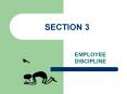 EMPLOYEE DISCIPLINE PowerPoint PPT Presentation