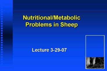 NutritionalMetabolic Problems in Sheep