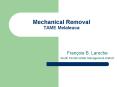 Mechanical Removal TAME Melaleuca PowerPoint PPT Presentation