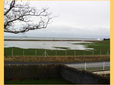 Position Effect Variegation PEV