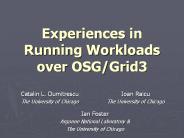 Experiences in Running Workloads over OSG/Grid3