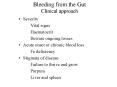 Bleeding from the Gut Clinical approach PowerPoint PPT Presentation