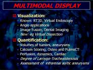 MULTIMODAL DISPLAY