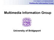 Multimedia Information Group
