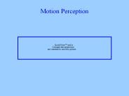 Motion%20Perception