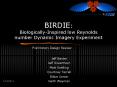 BIRDIE: Biologically-Inspired low Reynolds number Dynamic Imagery Experiment PowerPoint PPT Presentation