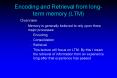 Encoding and Retrieval from long-term memory (LTM) PowerPoint PPT Presentation