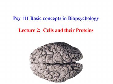 Psy 111 Basic concepts in Biopsychology