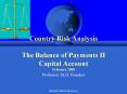 Country Risk Analysis  The Balance of Payments II Capital Account February 2008 PowerPoint PPT Presentation