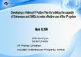 Developing a National IP Action Plan for building the capacity PowerPoint PPT Presentation