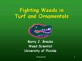 Fighting Weeds in Turf and Ornamentals PowerPoint PPT Presentation