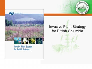 Tourism and Recreation