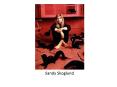 Sandy Skoglund PowerPoint PPT Presentation