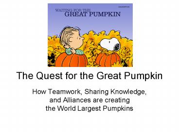 The Quest for the Great Pumpkin