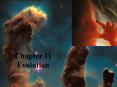 Evolution PowerPoint PPT Presentation