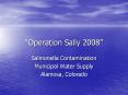 Operation Sally 2008 PowerPoint PPT Presentation