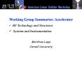 Working Group Summaries: Accelerator PowerPoint PPT Presentation
