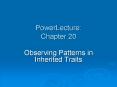 PowerLecture: Chapter 20 PowerPoint PPT Presentation