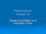 PowerLecture: Chapter 20