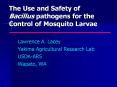 The Use and Safety of Bacillus pathogens for the Control of Mosquito Larvae PowerPoint PPT Presentation