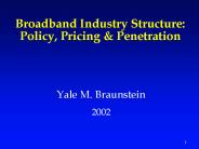 Broadband Industry Structure: Policy, Pricing
