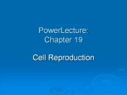 PowerLecture:%20Chapter%2019