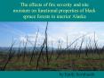The effects of fire severity and site moisture on functional properties of black spruce forests in interior Alaska PowerPoint PPT Presentation