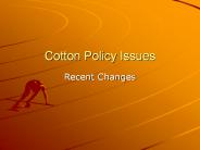 Cotton Policy Issues