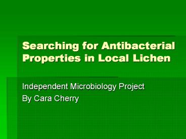 Searching for Antibacterial Properties in Local Lichen