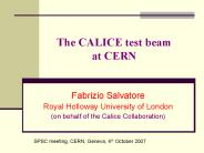 The CALICE test beam at CERN