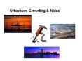 Urbanism, Crowding PowerPoint PPT Presentation