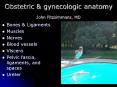 Obstetric PowerPoint PPT Presentation