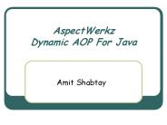AspectWerkz Dynamic AOP For Java