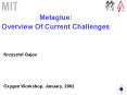 Metaglue: Overview Of Current Challenges PowerPoint PPT Presentation
