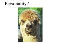 Personality?