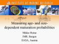 Measuring age and sizedependent maturation probabilities PowerPoint PPT Presentation