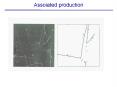 Assoiated production PowerPoint PPT Presentation