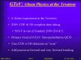 GTeV: Gluon Physics at the Tevatron PowerPoint PPT Presentation