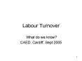Labour Turnover PowerPoint PPT Presentation
