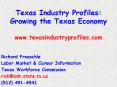 Texas Industry Profiles: Growing the Texas Economy www'texasindustryprofiles'com PowerPoint PPT Presentation