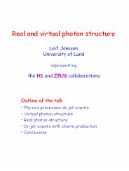 Real and virtual photon structure Leif J