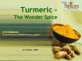 Turmeric - The Wonder Spice PowerPoint PPT Presentation