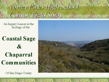 Torrey Pines High School Canyon Field Study