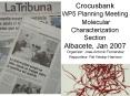 Crocusbank WP5 Planning Meeting Molecular Characterization Section Albacete, Jan 2007 PowerPoint PPT Presentation