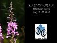 CASLPA ACOA Whitehorse, Yukon May 19 22, 2010 PowerPoint PPT Presentation