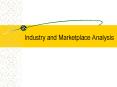 Industry and Marketplace Analysis PowerPoint PPT Presentation