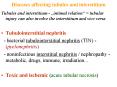 Diseases affecting tubules and interstitium PowerPoint PPT Presentation