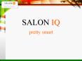 SALON IQ PowerPoint PPT Presentation