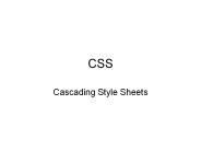 CSS